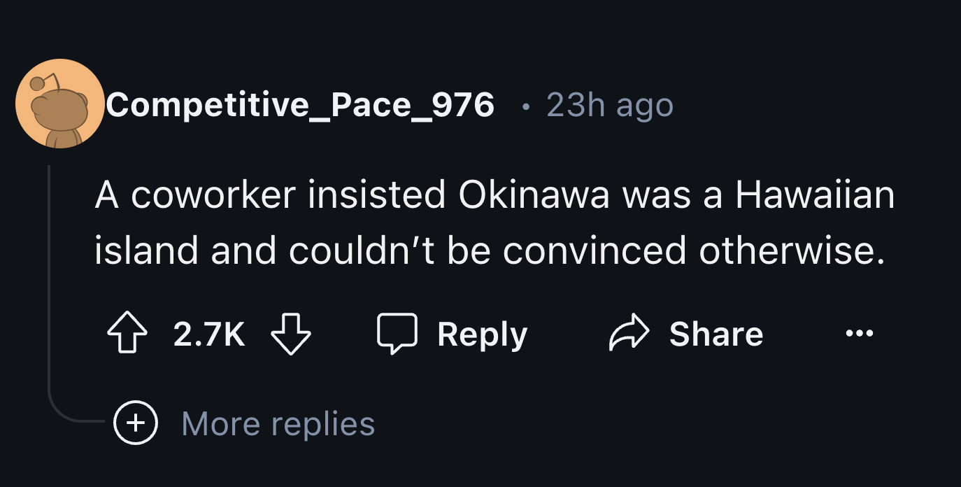 circle - Competitive_Pace_976 23h ago A coworker insisted Okinawa was a Hawaiian island and couldn't be convinced otherwise. More replies